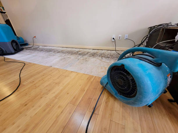 Professional Burst Pipe Water Damage technician working in Campobello, SC